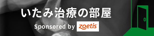 いたみ