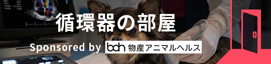 循環器