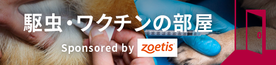 駆虫・ワクチン